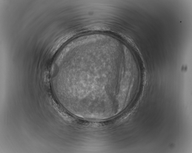 X0000114680881200911121454