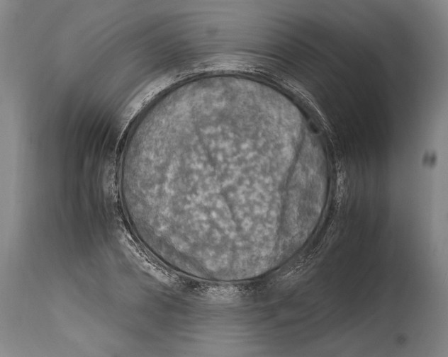 X0000114680882200911121454