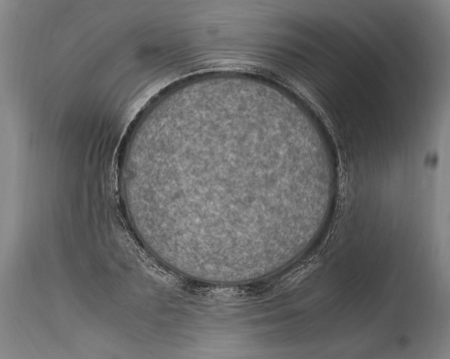 X0000114680883200911121454