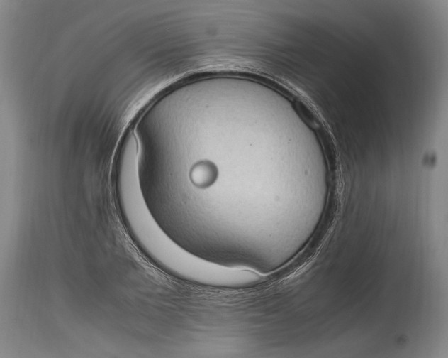 X0000114680885200911121454