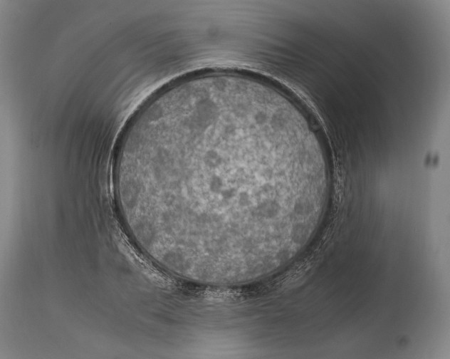 X0000114680887200911121454