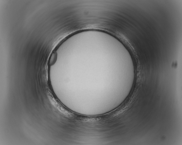 X0000114680892200911121454
