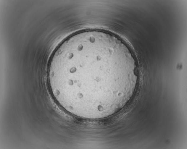 X0000114680895200911121454
