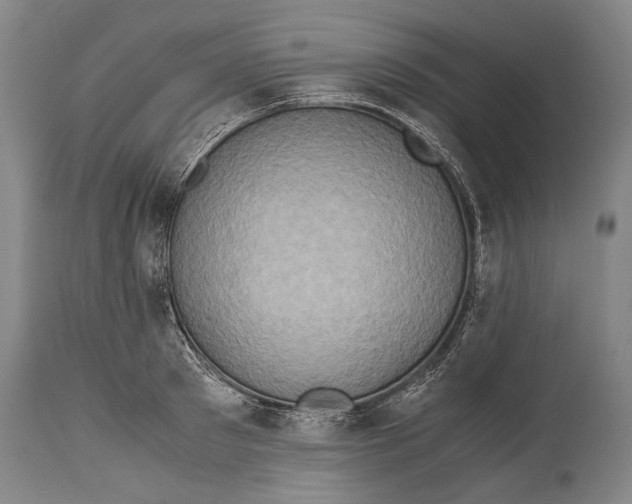 X0000114680897200911121454