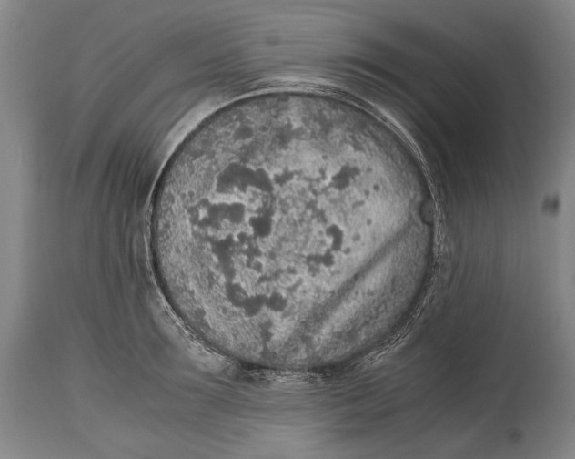 X0000114680899200911121453