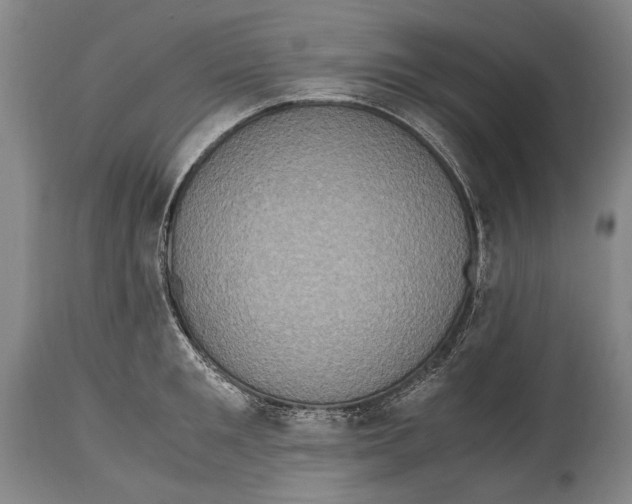 X0000114680901200911121453