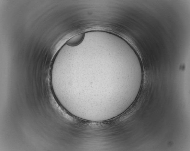X0000114680906200911121453