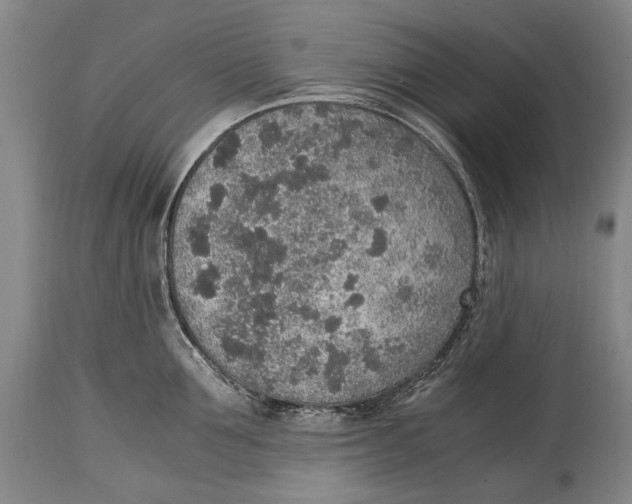 X0000114680907200911121453