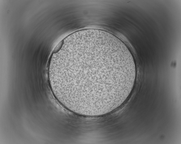 X0000114680908200911121453