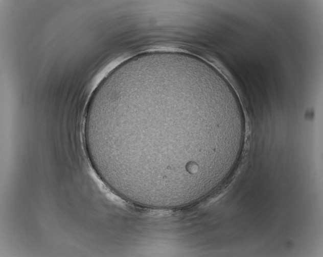X0000114680909200911121453
