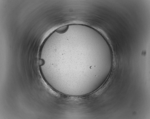 X0000114680910200911121453