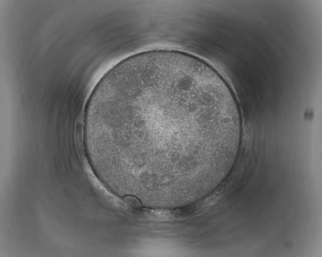 X0000114680911200911121453