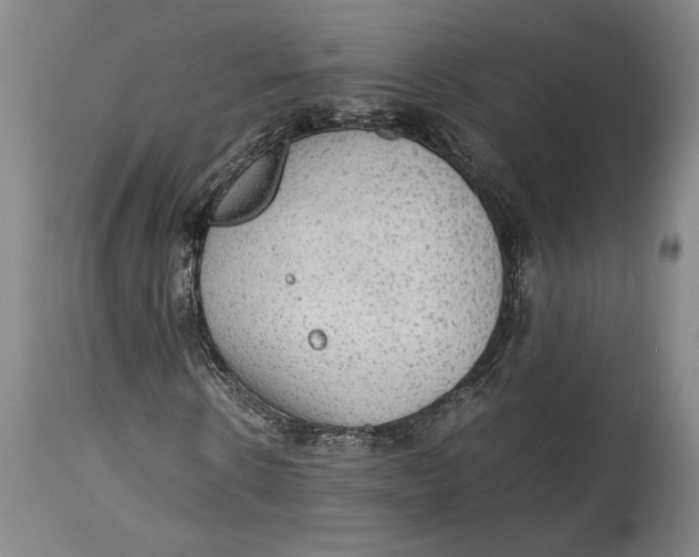 X0000114680914200911121453