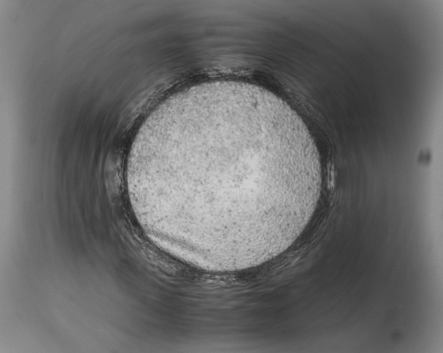 X0000114680915200911121453