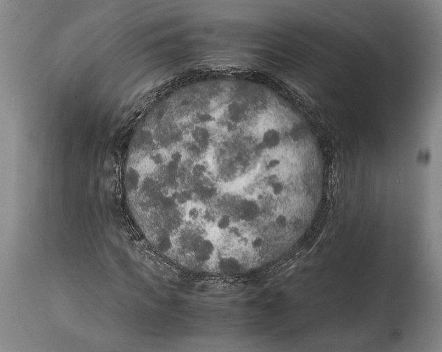 X0000114680917200911121453
