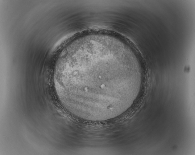 X0000114680919200911121453