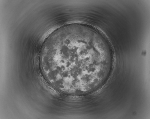 X0000114680921200911121453