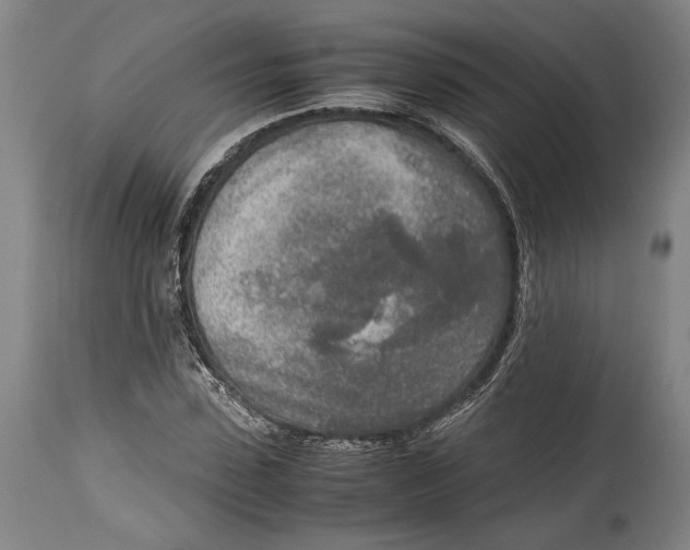 X0000114680923200911121453