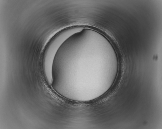 X0000114680926200911121453