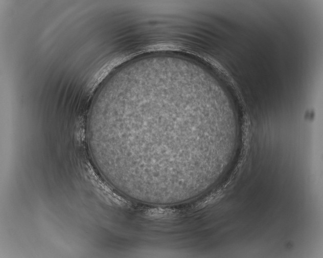 X0000114680929200911121453