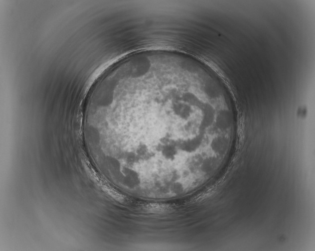 X0000114680933200911121453