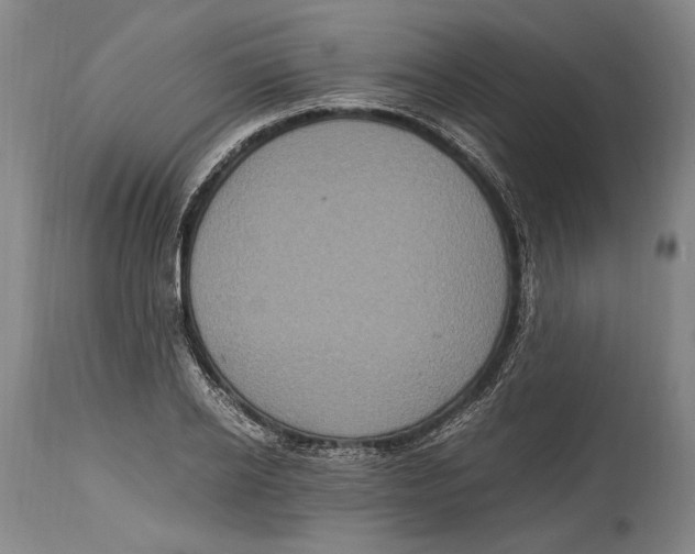 X0000114680934200911121453