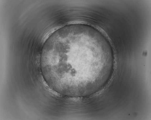 X0000114680937200911121453