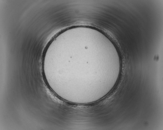 X0000114680942200911121453