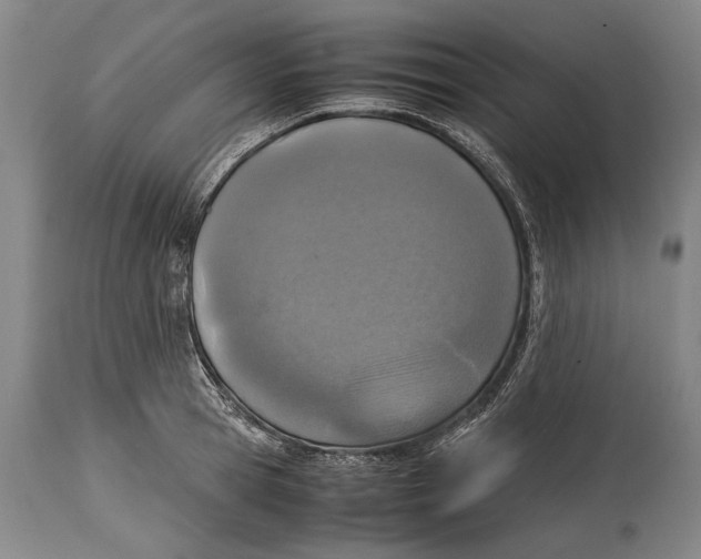 X0000114680945200911121453