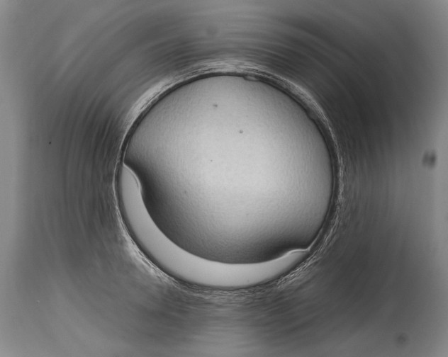 X0000114680946200911121453