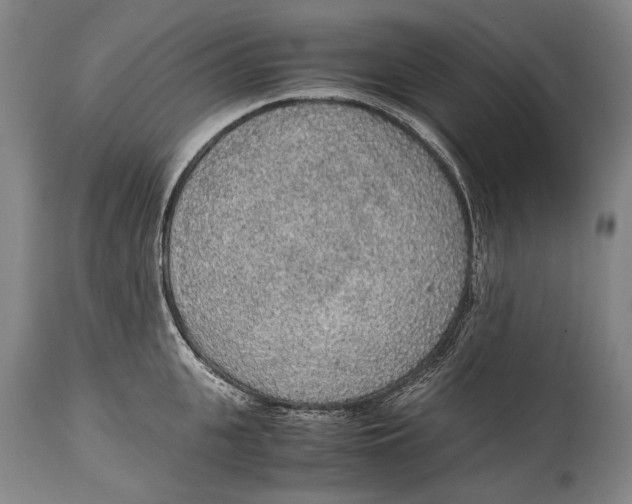 X0000114680951200911121453