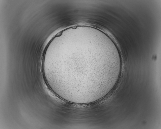 X0000114680955200911121453