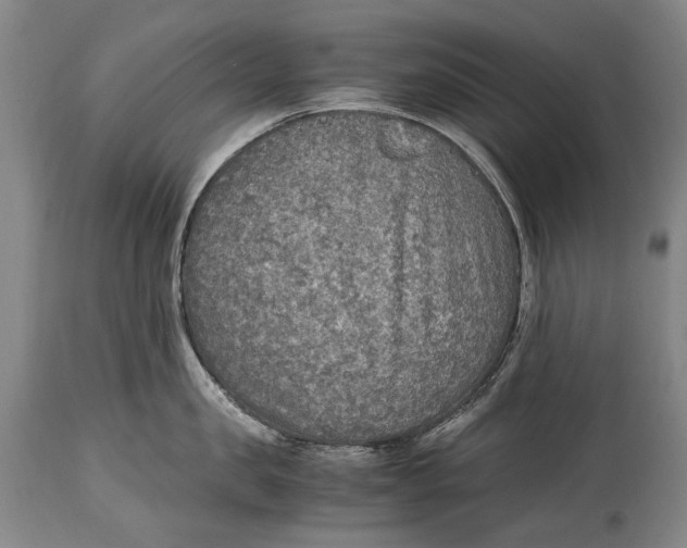 X0000114680957200911121453