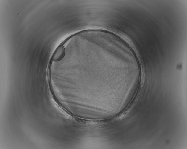 X0000114680958200911121453