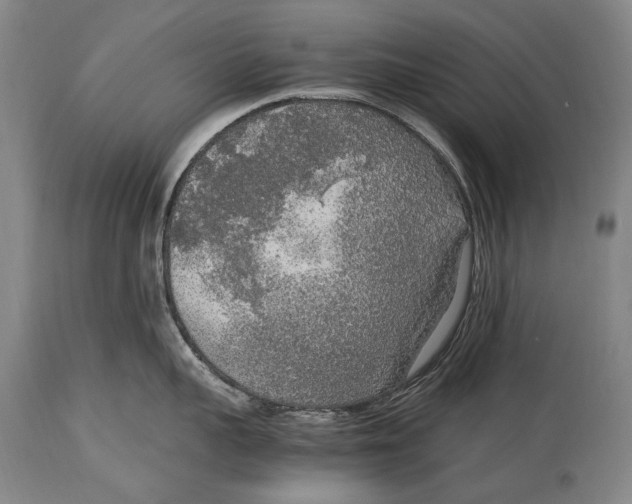 X0000114680959200911121453