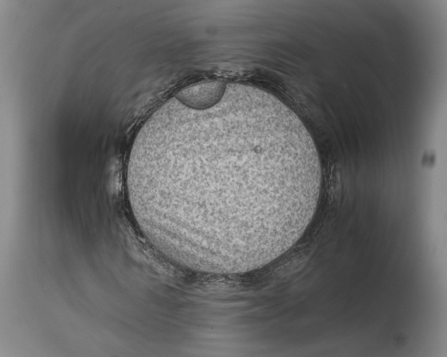 X0000114680962200911121453