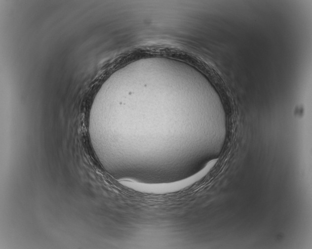 X0000114680965200911121453