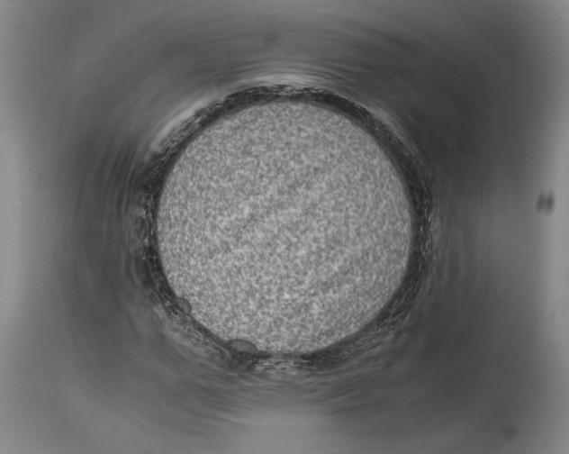 X0000114680967200911121453