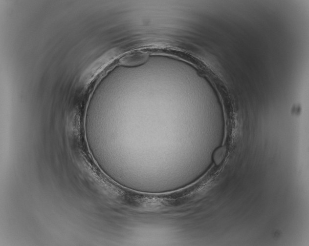 X0000114680969200911121453