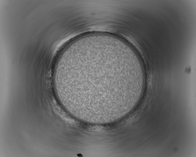 X0000114680971200911121452