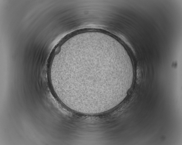 X0000114680972200911121452