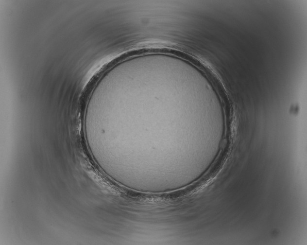 X0000114680973200911121452