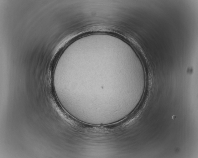 X0000114680981200911121452