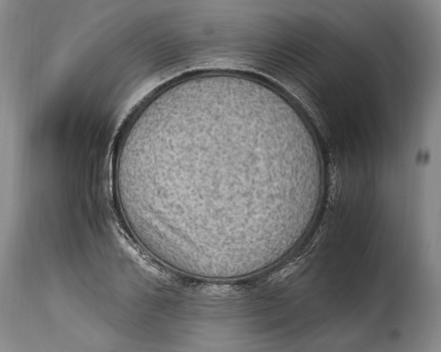 X0000114680982200911121452