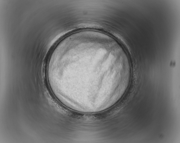 X0000114680983200911121452