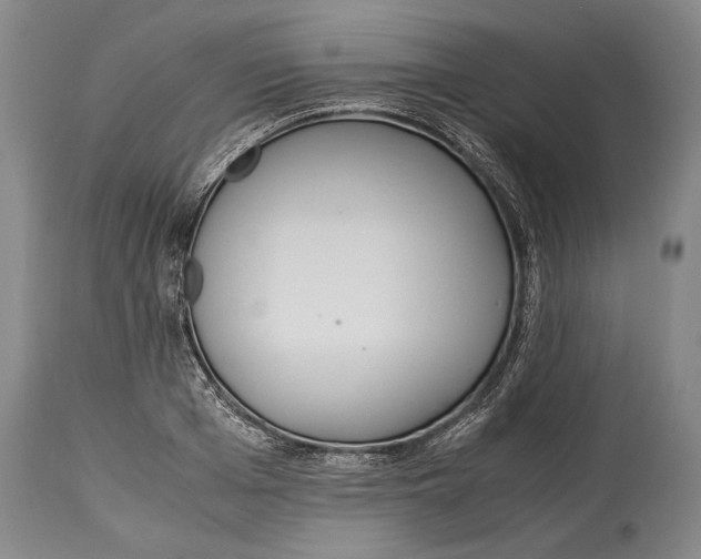 X0000114680985200911121452