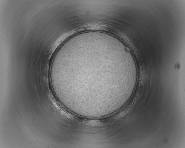 X0000114680986200911121452