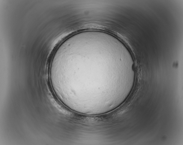 X0000114680987200911121452