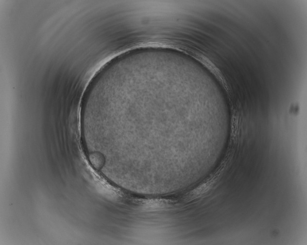 X0000114680988200911121452