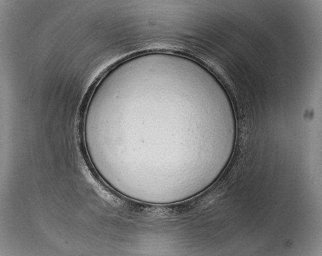 X0000114680991200911121452